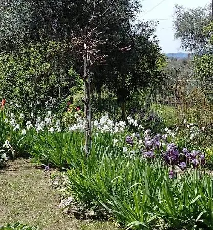 Tatil Evi Roula's House *