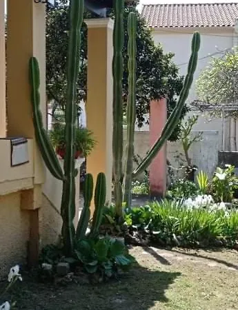 Nyaraló Roula's House *